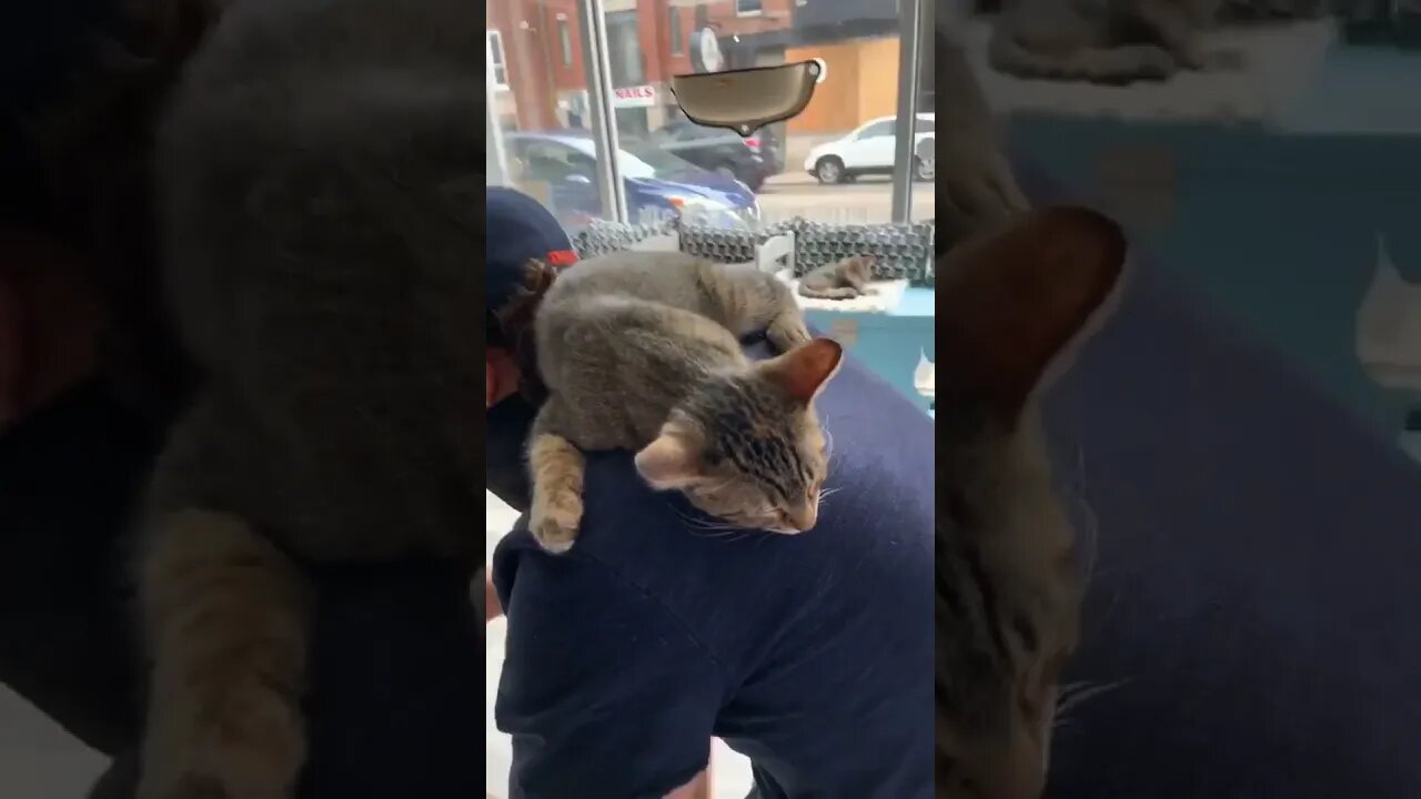 Signing The Adoption Papers