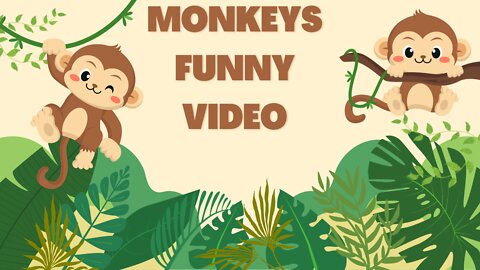 Monkey Eat Milk Rice(monkey funny video)
