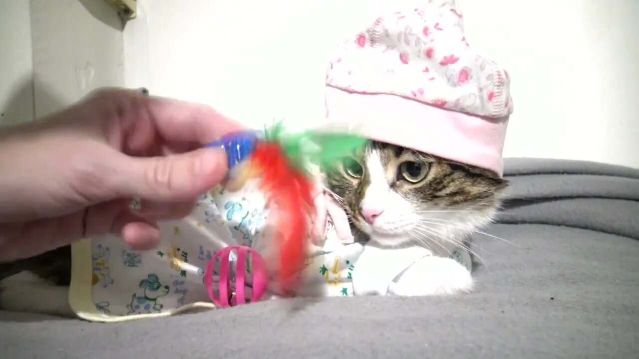 This New Cap Keeps My Little Ears Warm