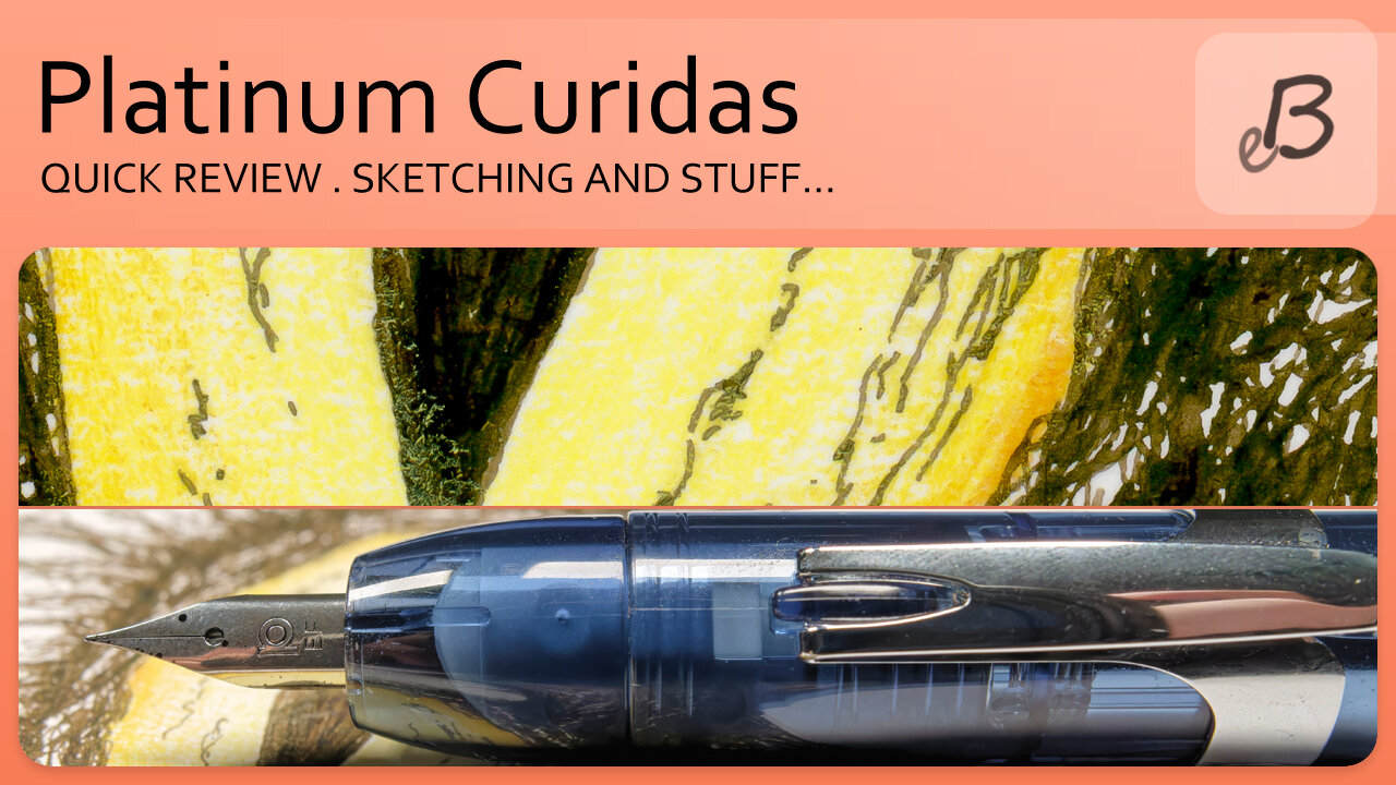 Platinum Curidas fountain pen