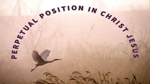 Morning by Morning Spurgeon Encouragement 27th November