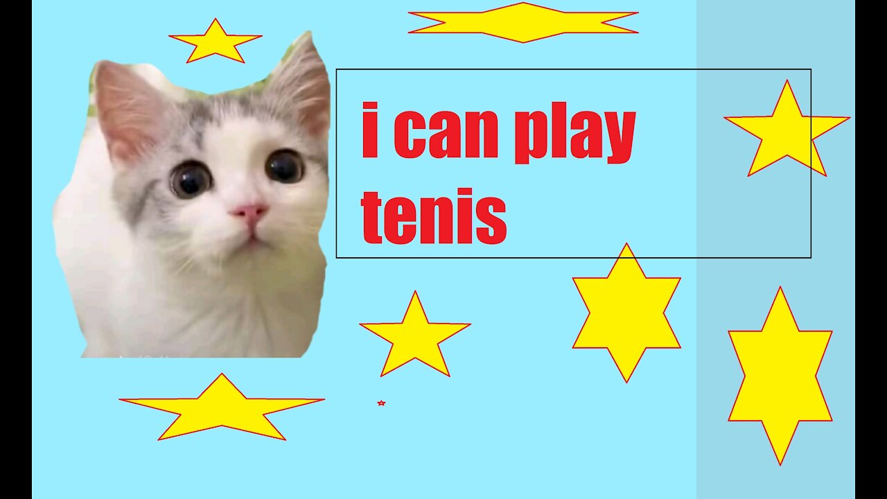 sweet cat playing table tennis