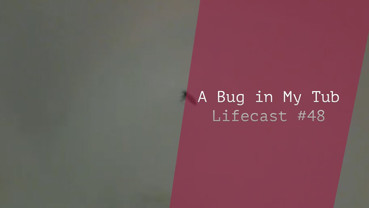 A Bug in My Tub | Lifecast #48