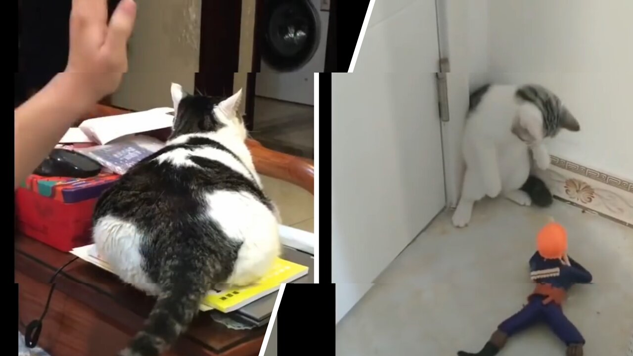 Funny Moment #1