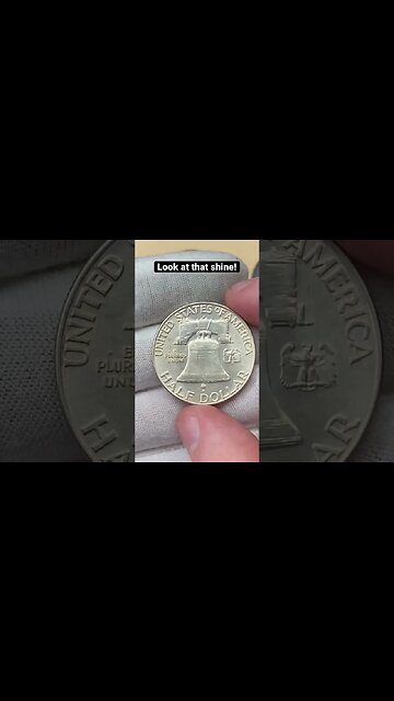 New Shiny Addition! - Benji Album Fill part 19