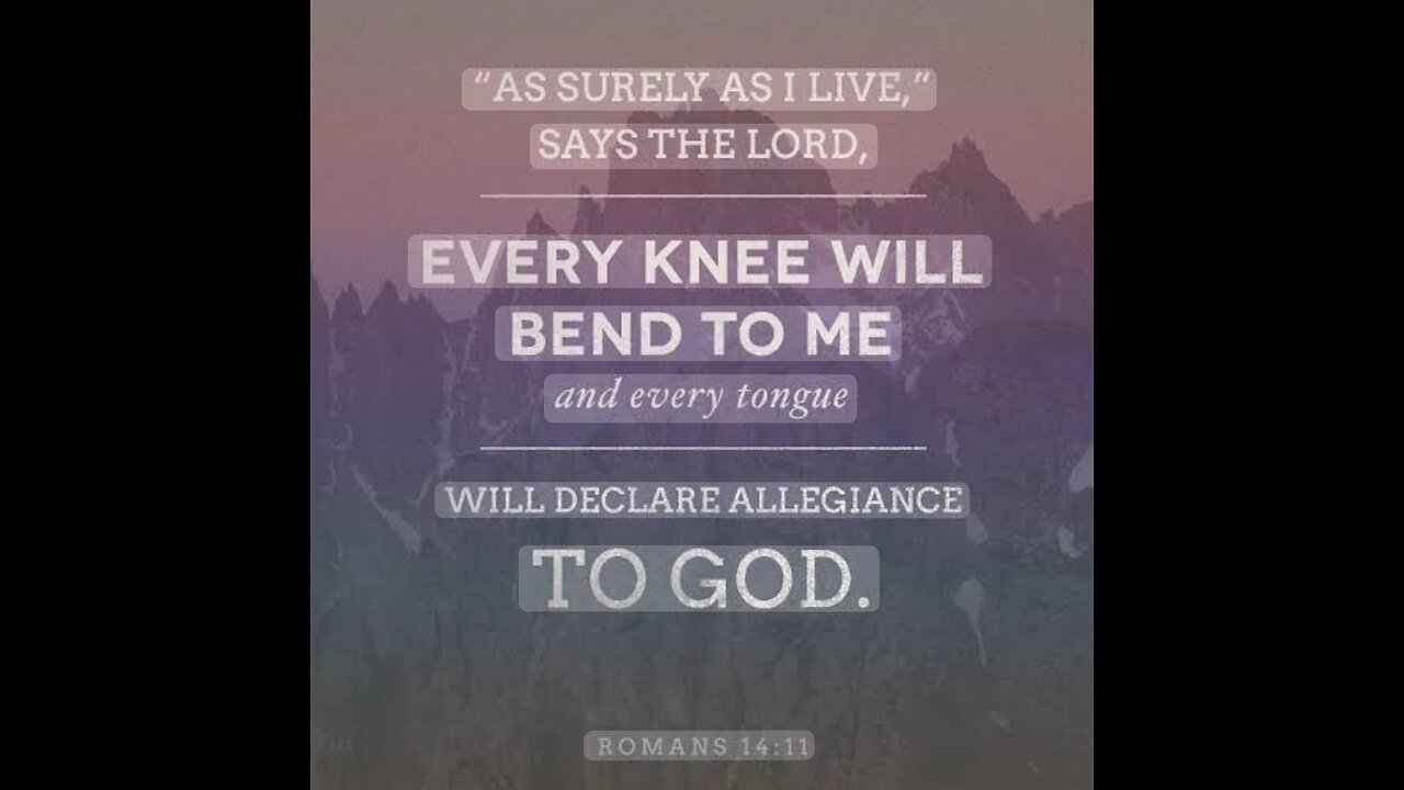 Romans 14 Read and Explained