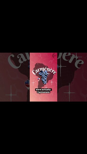 Carmenère Explained 🍷🇨🇱