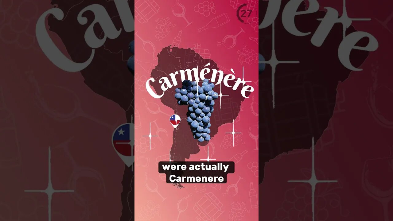 Carmenère Explained 🍷🇨🇱