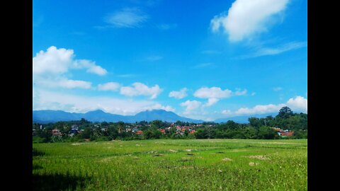 The beauty of countryside