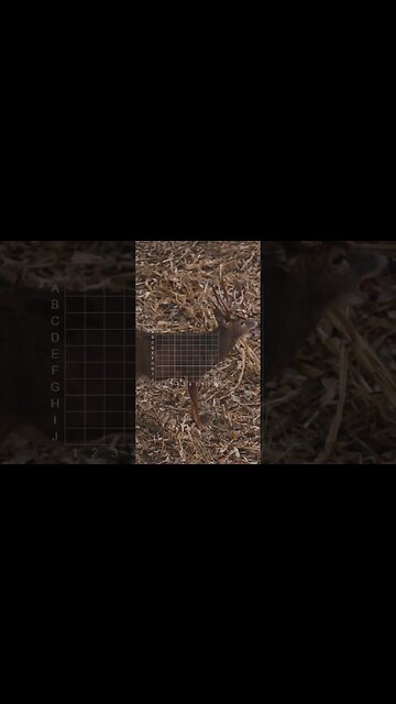 Where Are You Aiming? (Shot Placement)