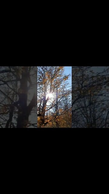 2022 season comes to an end... #montage #ohhighbud