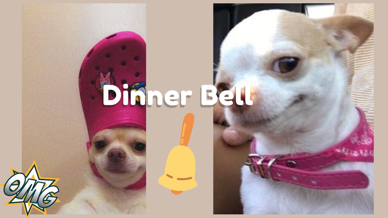 Dinner Bell 🔔