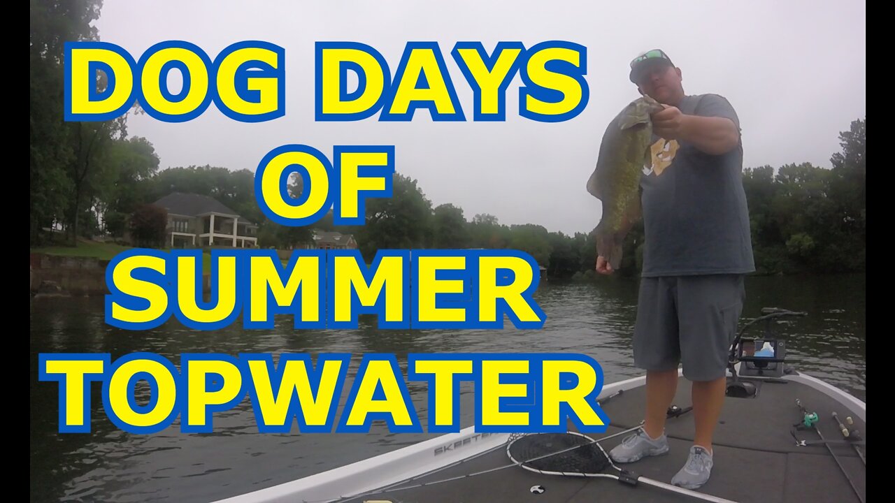 I'm Back! Where I've Been? Plus Dog Days Of Summer Topwater!