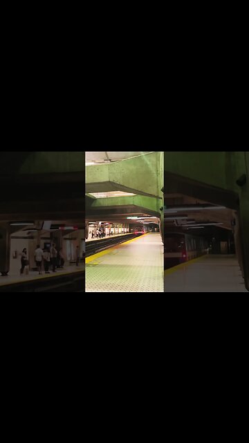 Stunning Peel colossal metro #viralvideo #train #montreal #traintravel #travel