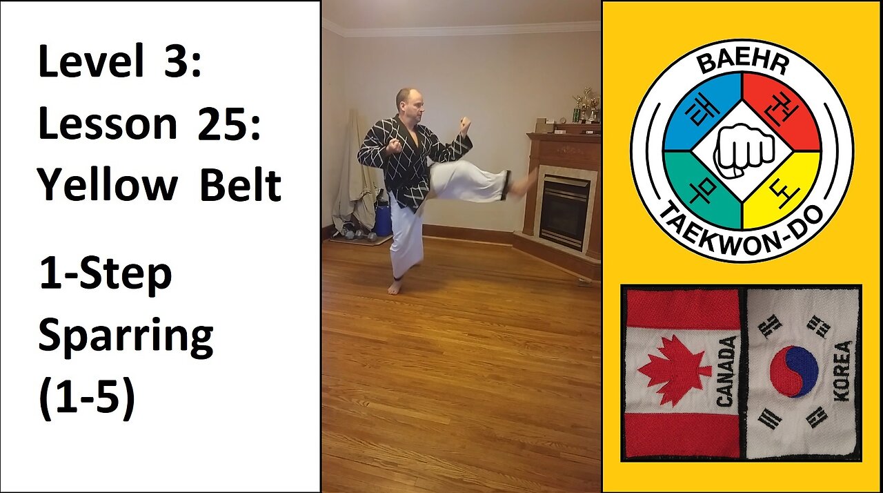 Baehr Taekwondo: 03-25: Yellow Belt: 1-Step Sparring (1-5)