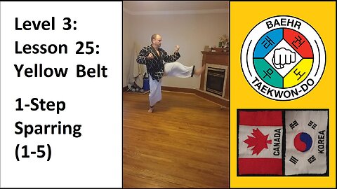 Baehr Taekwondo: 03-25: Yellow Belt: 1-Step Sparring (1-5)