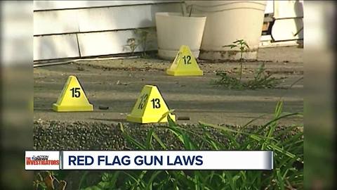 Red Flag gun laws not adopted in Michigan