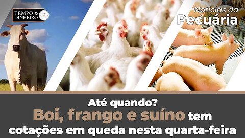 Boi, frango e suíno tem cotações em queda nesta quarta-feira. Até quando?