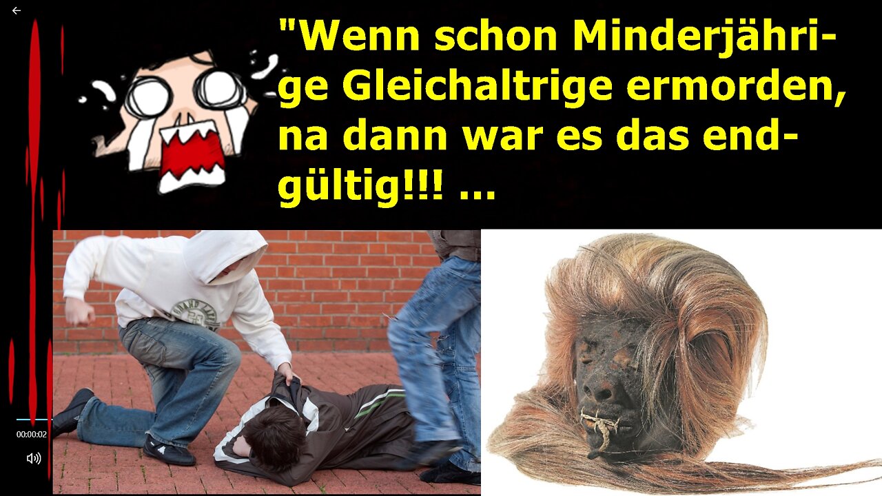 „Wenn schon Minderjährige Gleichaltrige ermorden, na dann ist doch alles super, oder, usw.!!!“...