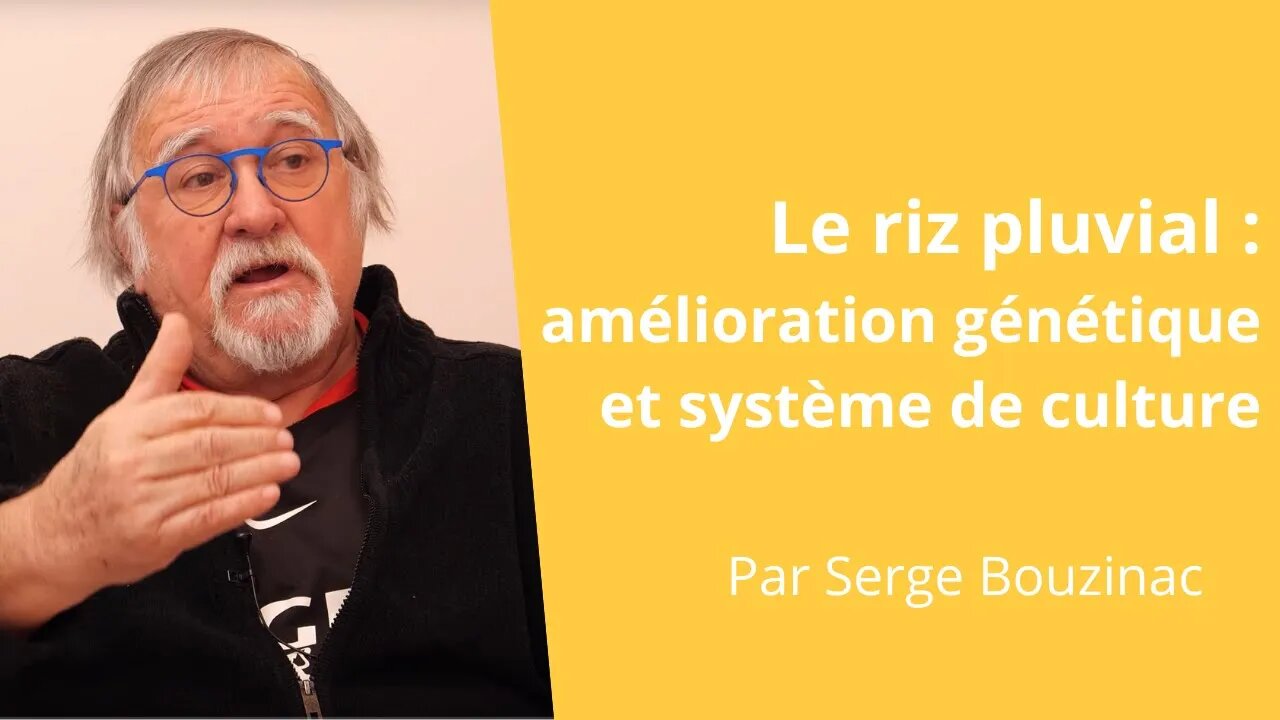 Le riz pluvial : amélioration génétique et système de culture, Serge Bouzinac