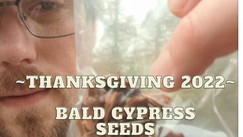 Thanksgiving 2022, Memory Lane