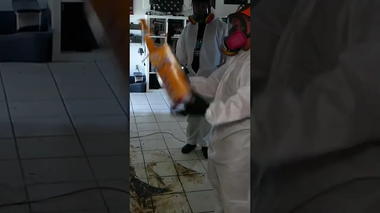 EXTREME Kitty Litter Clean Up!!! #shorts