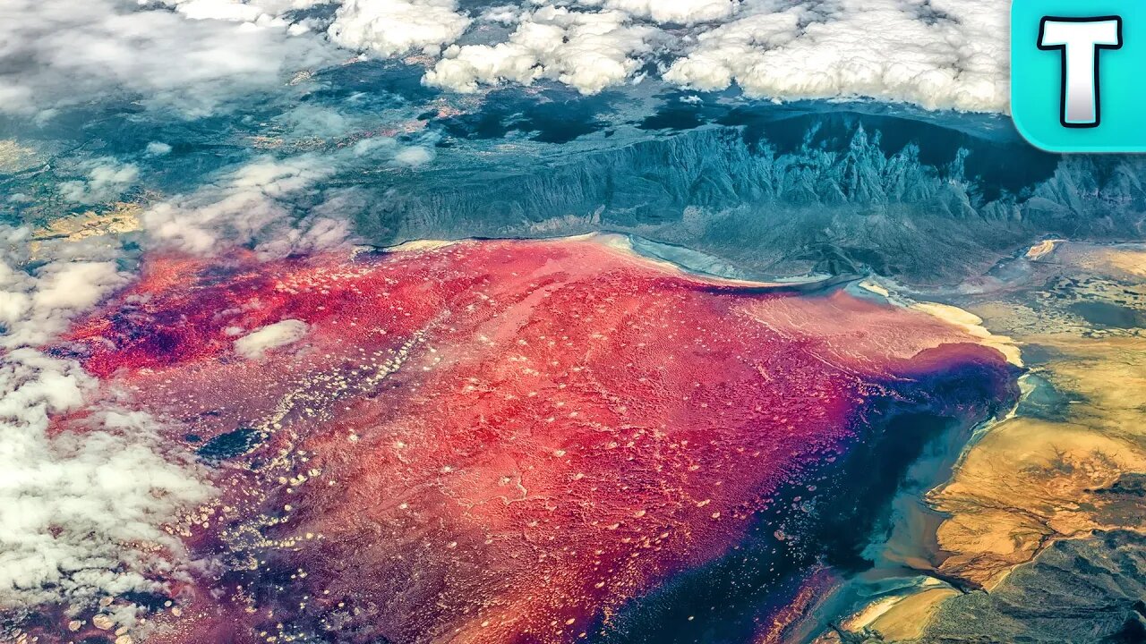 The Dark Secret of Lake Natron