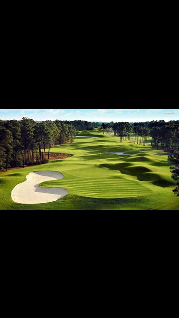 You Think Biden Is Qualified To Do That?