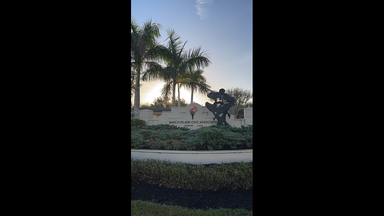 Livestream Replay - South Beach Shells, Octopus & Biting Scallop!