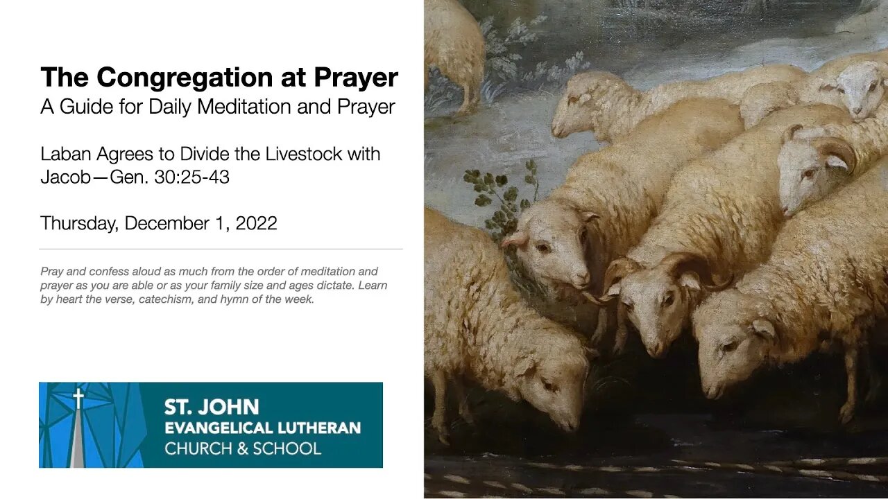 Laban Agrees to Divide the Livestock with Jacob—Gen. 30:25-43