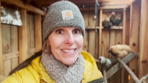 Prepping for TILING our LOG HOME shower (while our chickens are attacked!) (#110)