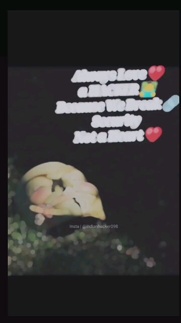 hacker attitude status video