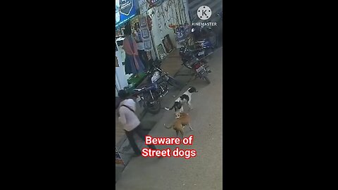 Dog attack