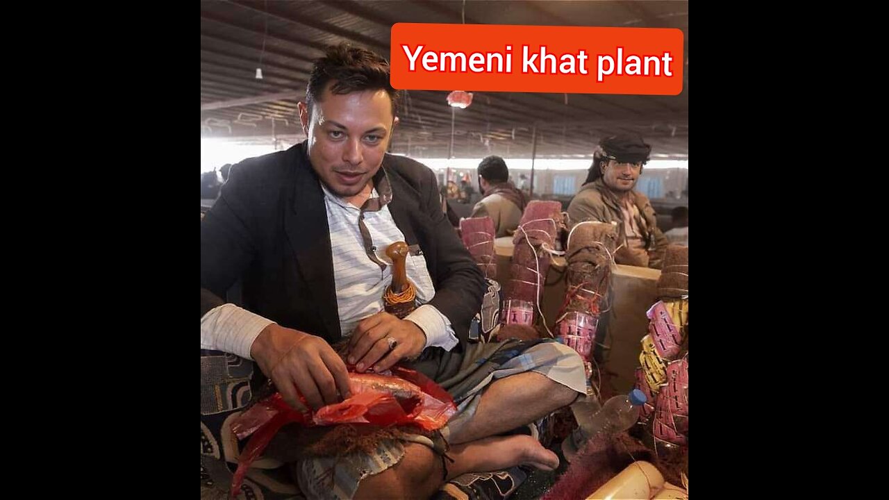 "Yemeni Joy: Unforgettable moments at a wedding full of joy and fun"