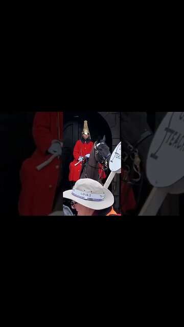 Horse spooked by flags #horseguardsparade