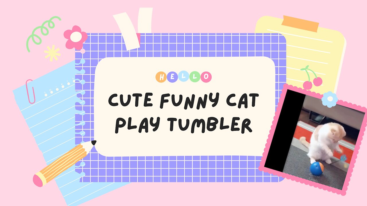 Cute Funny Cat Play Tumbler very lovely