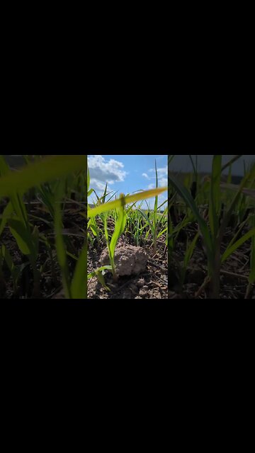 I'm in one of my favorite places, Valley Park Oklahoma