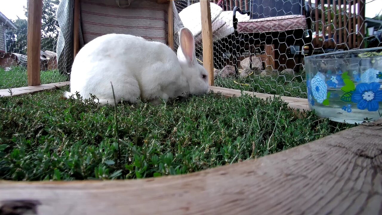 Shadow going down on some deep green