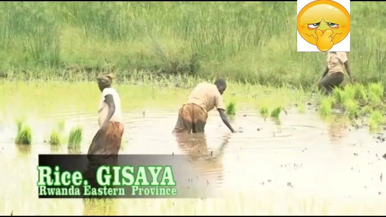 DORE IMVUNE ABAHINZI B'UMUCERI BAGIRA,BIVA MU NTUYO KOKO