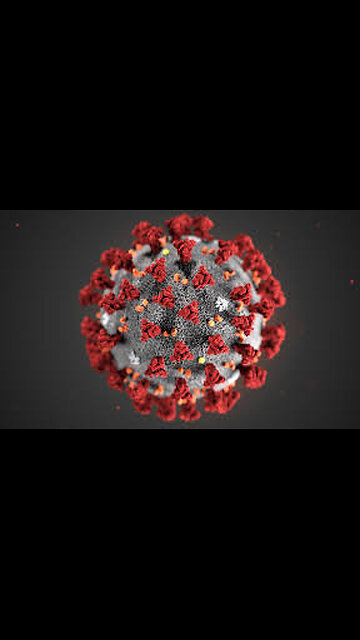 Enjoyable Pandemic? #shorts