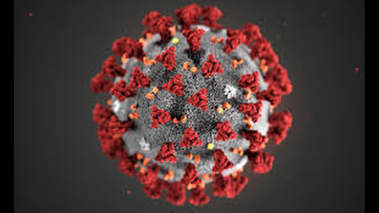 Enjoyable Pandemic? #shorts