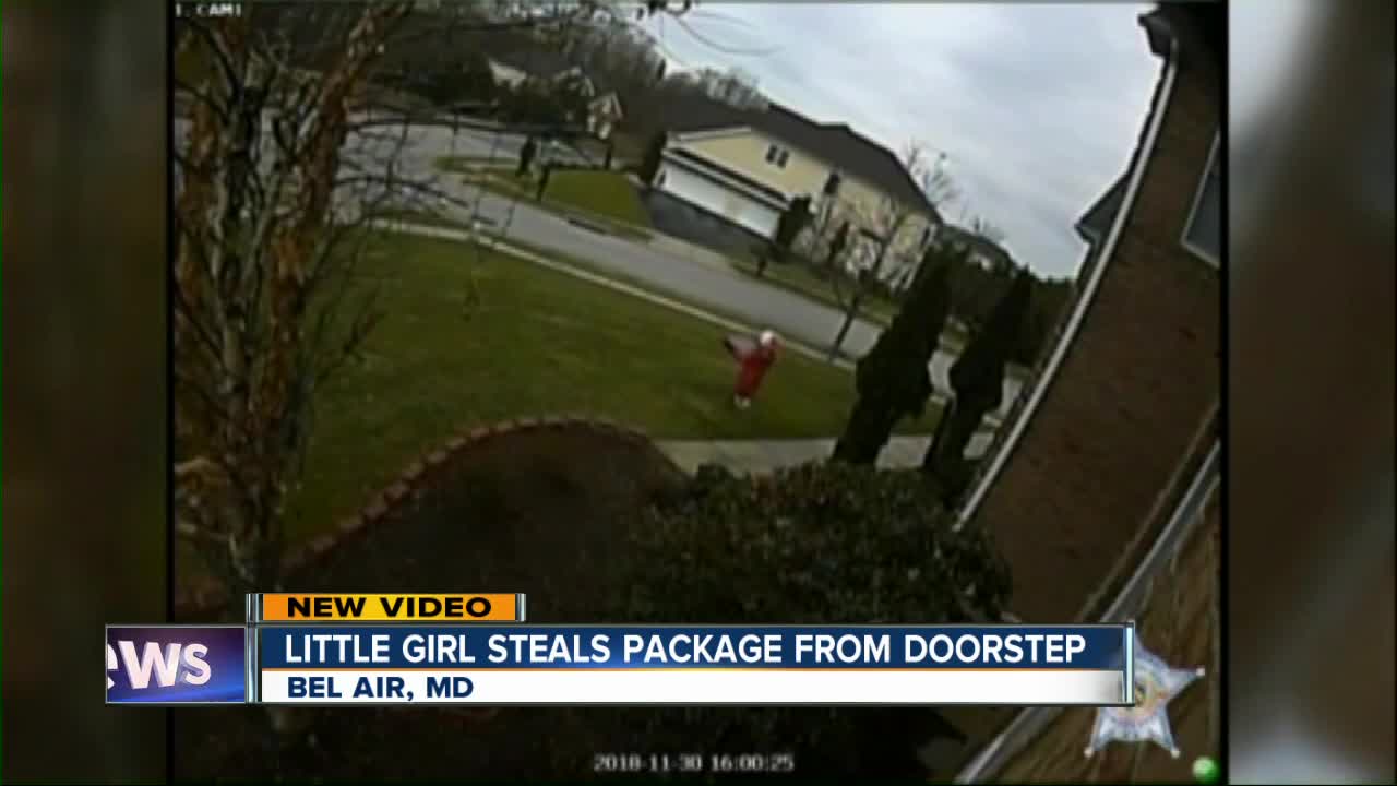 Young girl caught on video stealing package from doorstep