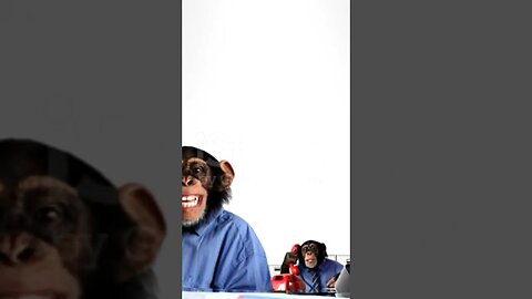 mongke service department