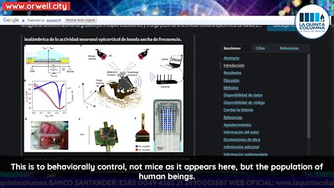 Graphene active sensor arrays