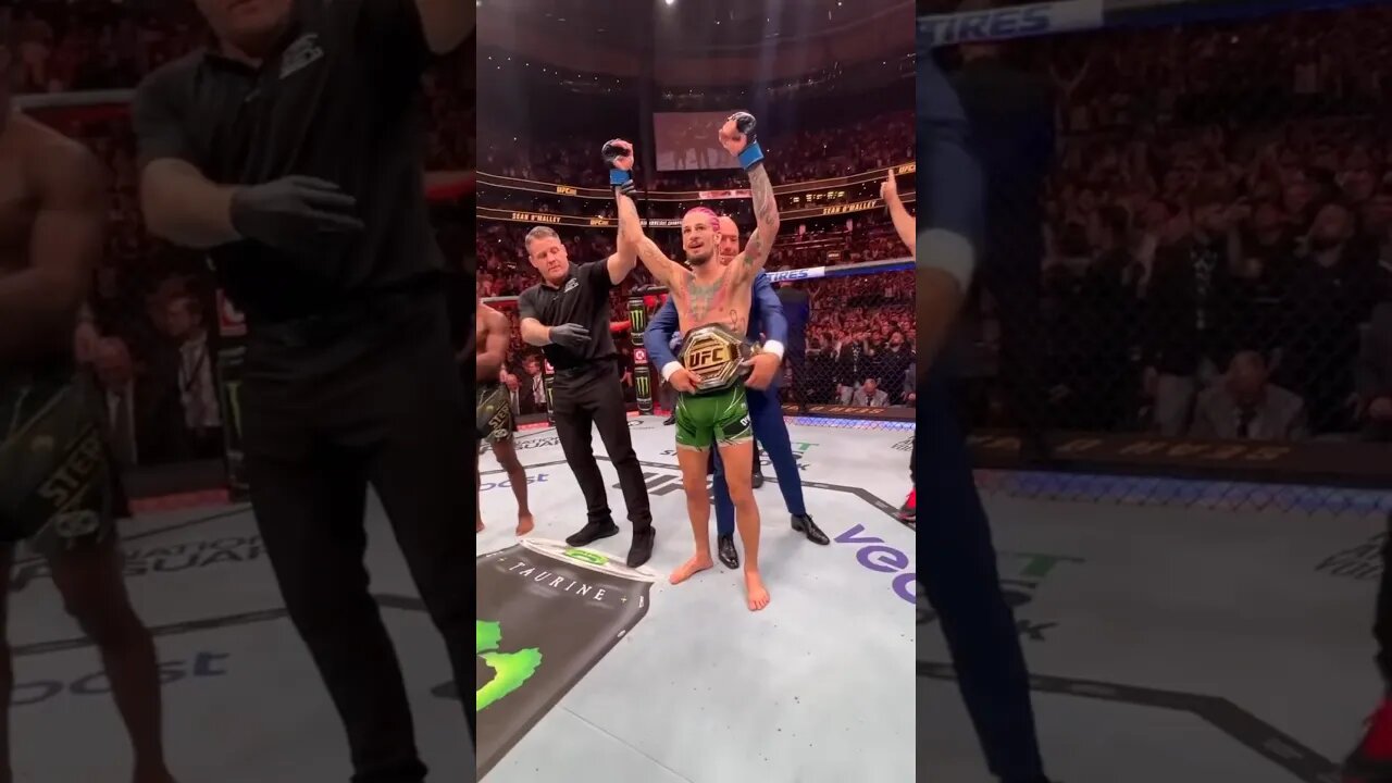 💥SugarShow Silences Sterling 😳”Better Come Better a than That”@ufcshorts7394 #shorts