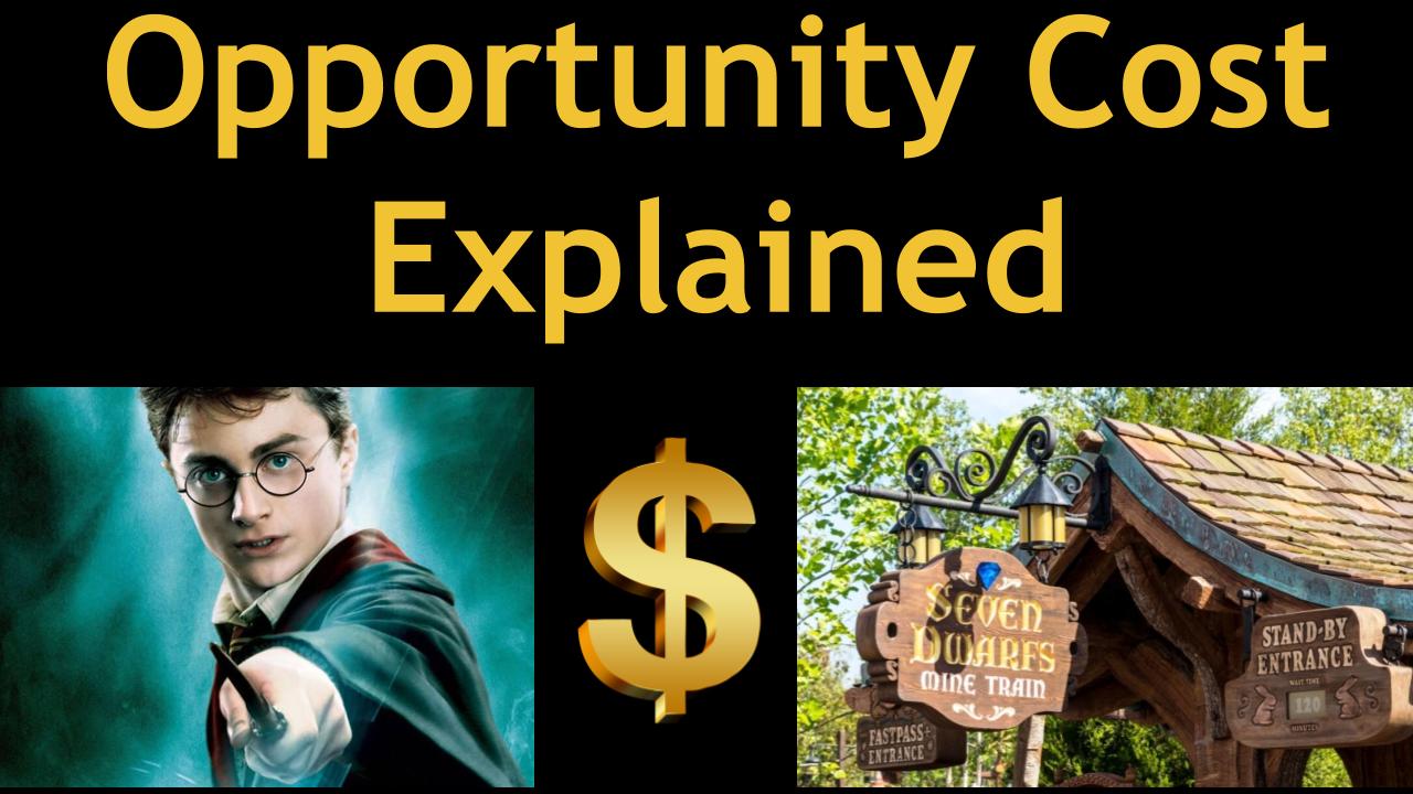 What is Opportunity Cost?