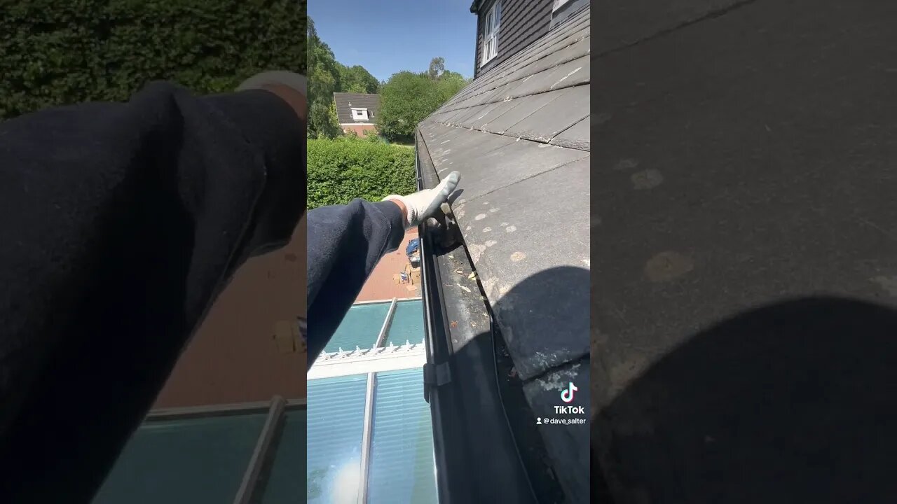 I Found a Squirrel in the Guttering