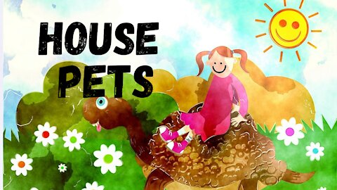 House Pets! | videos for babies, toddlers, kids