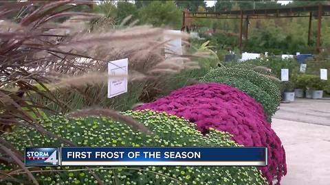 With a first frost coming, it’s time to cover outdoor plants