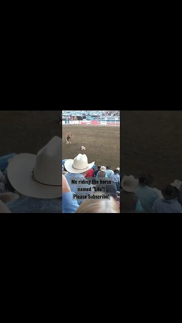 Just everyday "life"! #Cody #rodeo #life #buckinghorse #buckedoff #wyominglife